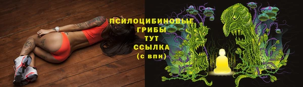 наркотики Алексин