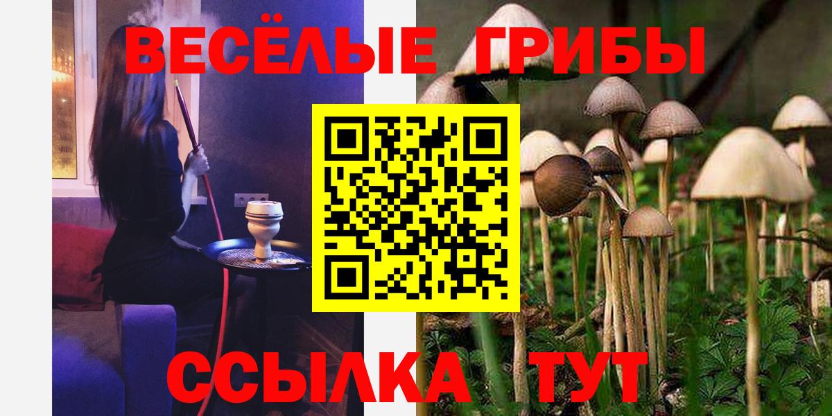 Галлюциногенные грибы мухоморы Ахтубинск