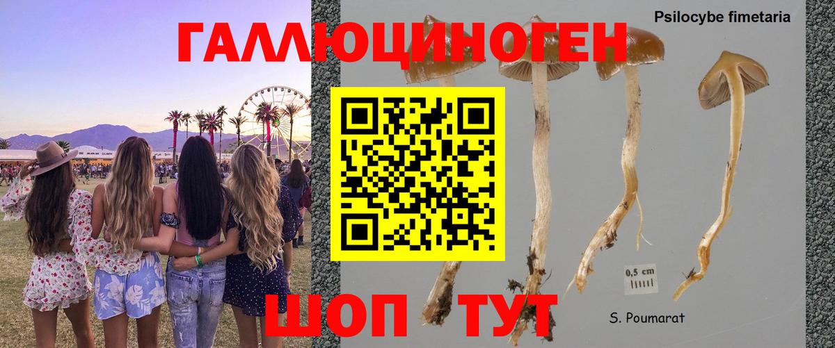 Псилоцибиновые грибы мицелий  Вход с VPN  Псилоцибиновые грибы Magic Shrooms  Ахтубинск 