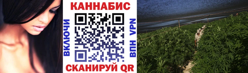 Каннабис семена Ахтубинск