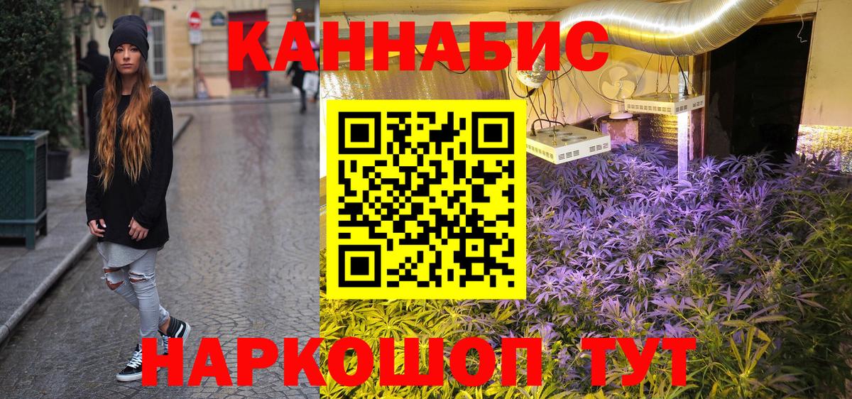 Конопля конопля Ахтубинск